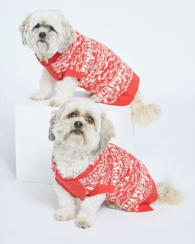 Leigh Tucker Willow Nollaig Family Christmas Dog Pyjamas (XS - L)