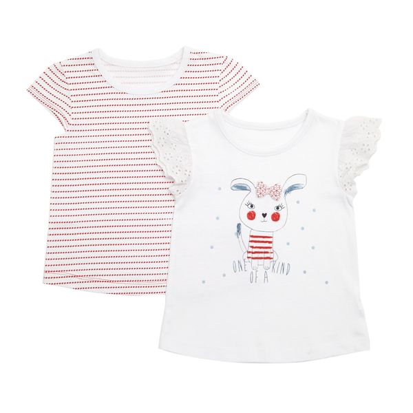 Toddler T-Shirts Graphic Front - Pack Of 2