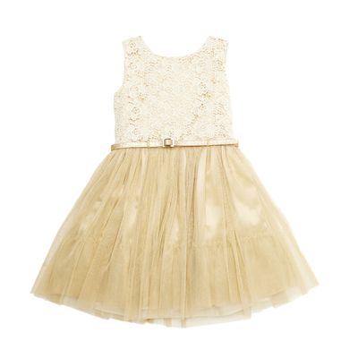 Younger Girls Lace And Lurex Net Dress thumbnail