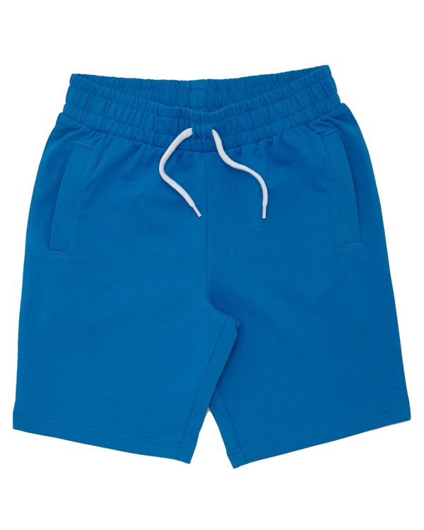 Dunnes Stores | Turquoise Boys Fleece Shorts (3-14 years)