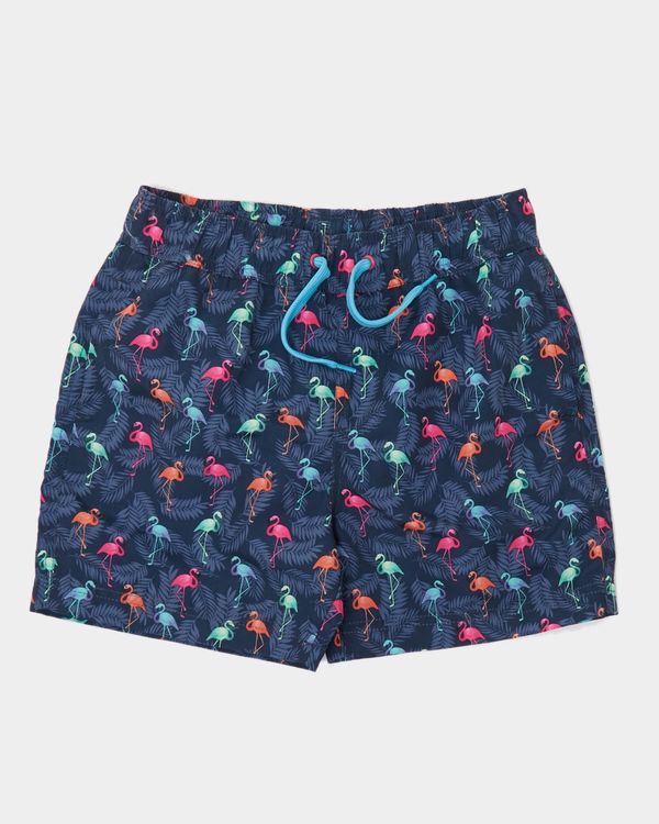 Boys Printed Swim Shorts (3-14 years)