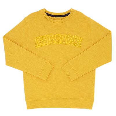 Boys Crew Neck Sweater (3-13 years) thumbnail