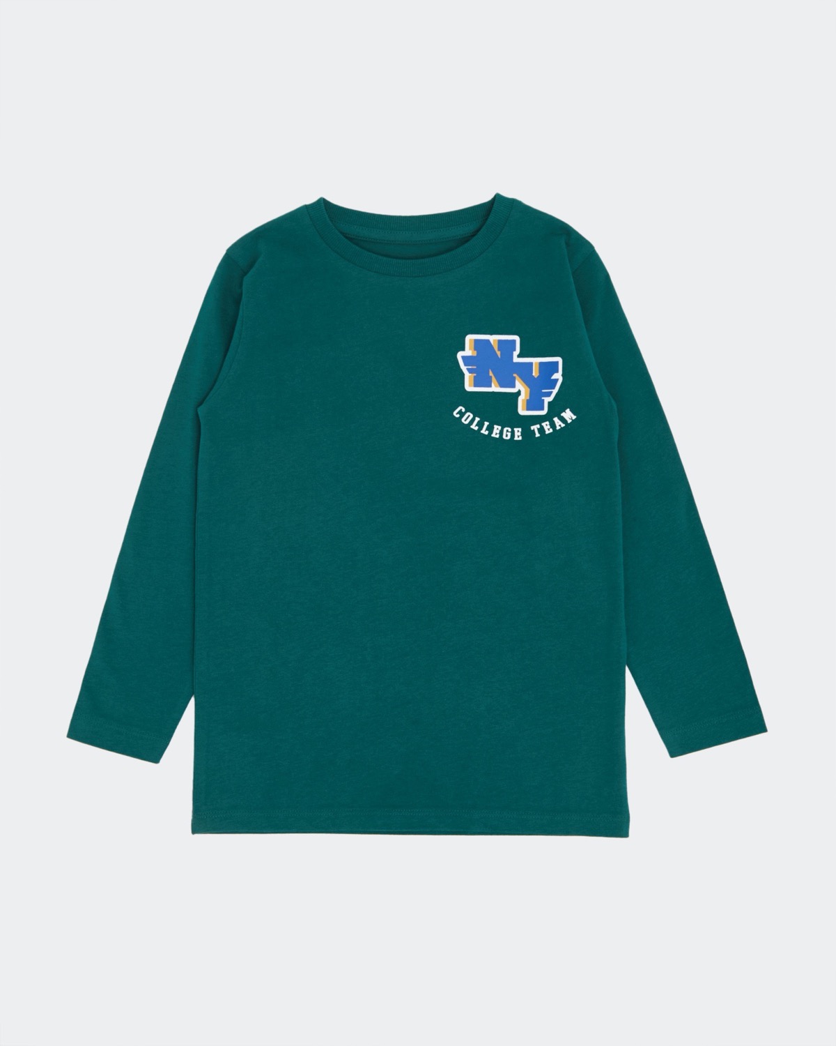Dunnes Stores | Green Cotton Long-Sleeved T-Shirt (2-14 years)