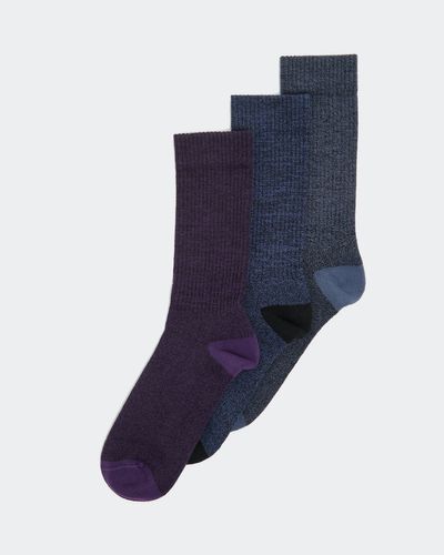 Casual Socks - Pack Of 3