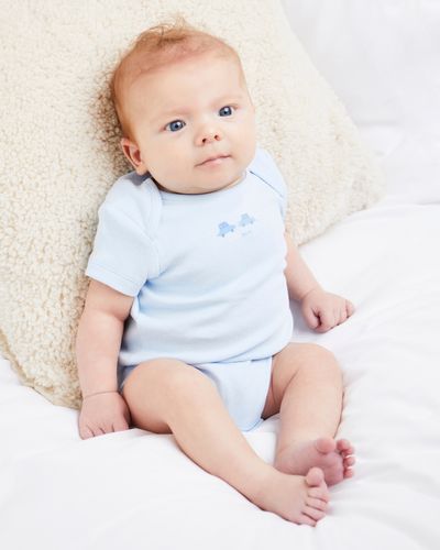 Pure Cotton Bodysuits - Pack Of 5 (Newborn-23 Months)