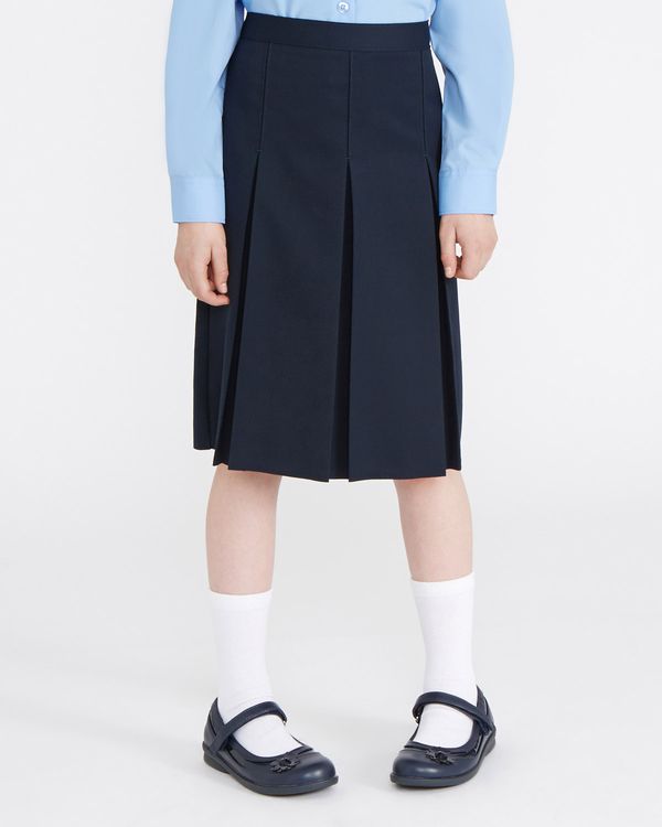 Buy Navy Pleated Flared Midi formal skirt Online | FableStreet