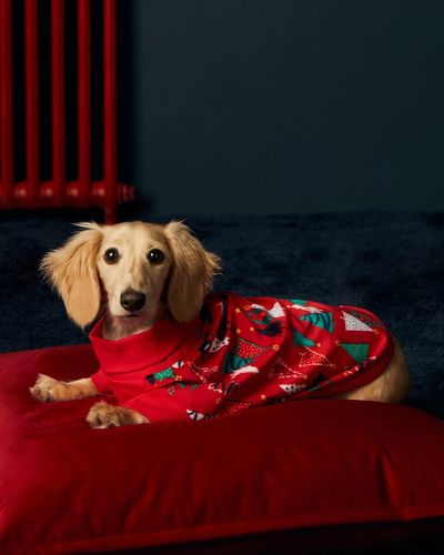 Dog Christmas Pyjamas thumbnail
