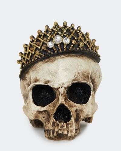 Skull With Crown thumbnail