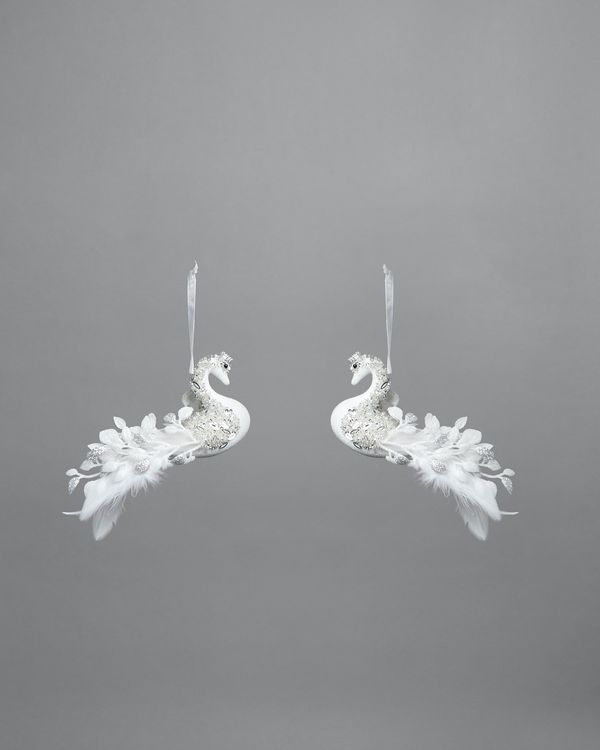 Swan Long Tail - Pack Of 2