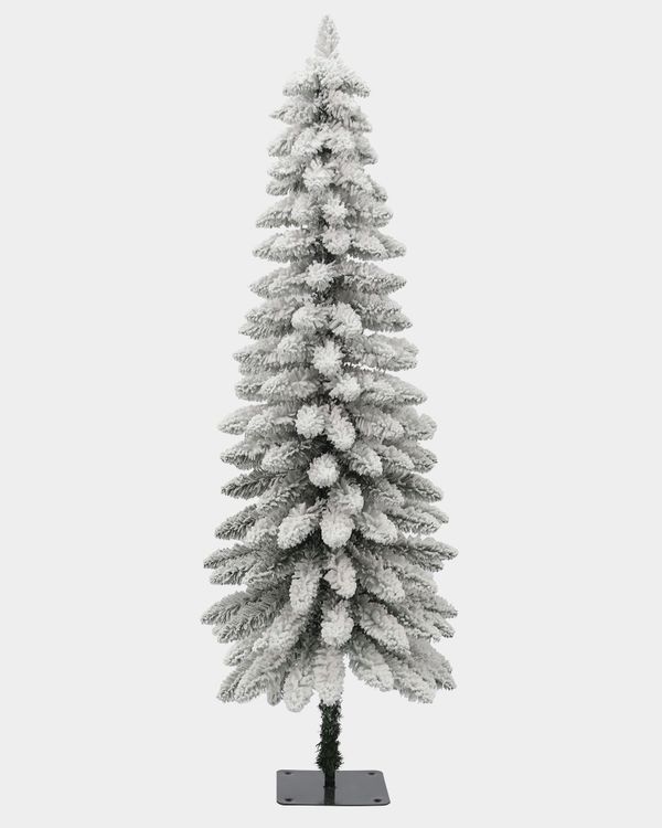 4.5 Foot Snowy Hazelwood Tree