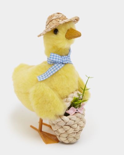 Duck With Basket
