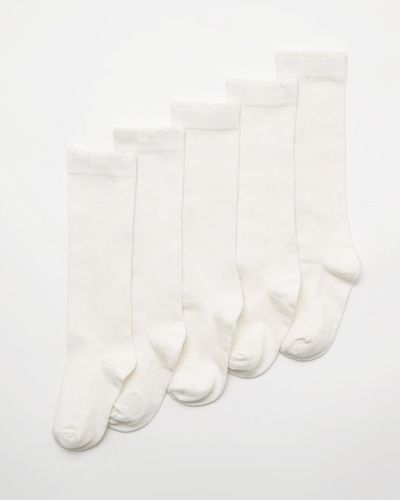 Girls Cotton Rich Knee High Socks - Pack Of 5 thumbnail