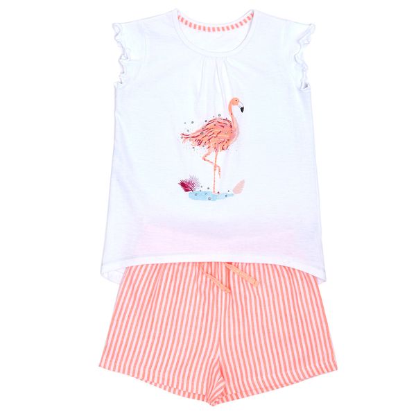 Girls Flamingo Shorts Set