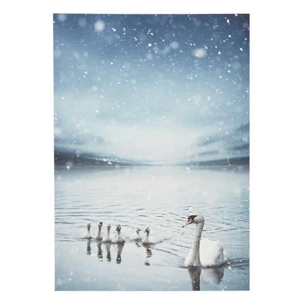 Swans Canvas