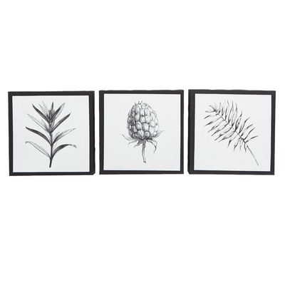 Botanical Triptych thumbnail
