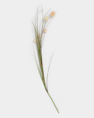 Allium With Grass thumbnail