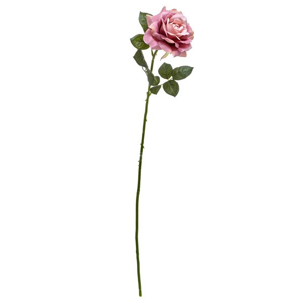 Single Rose Stem