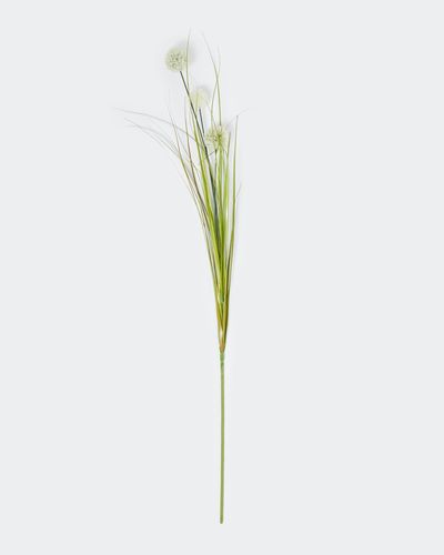Allium With Grass
