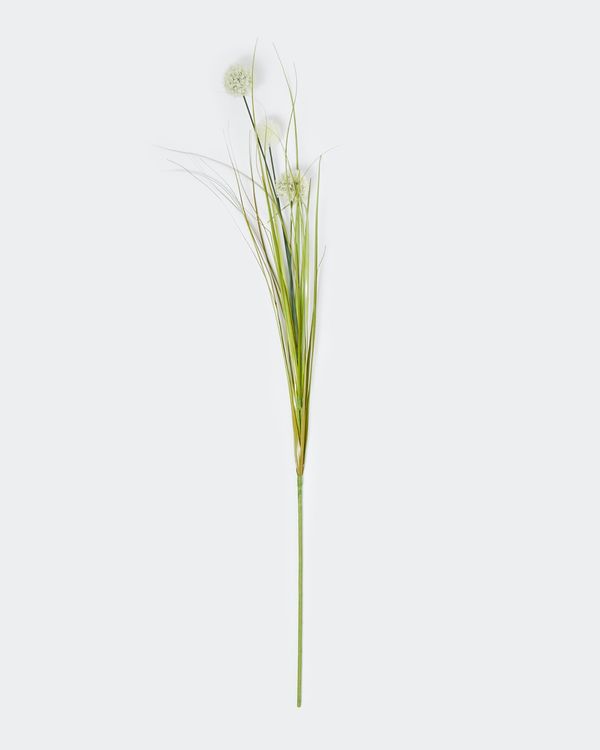 Allium With Grass