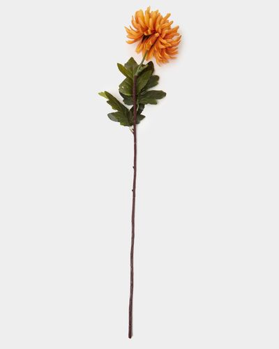 Small Chrysanthemum Stem thumbnail