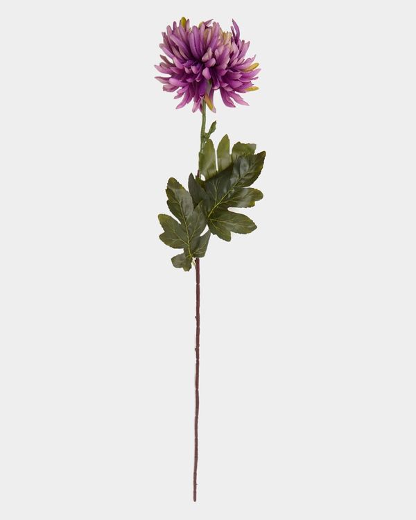 Small Chrysanthemum Stem