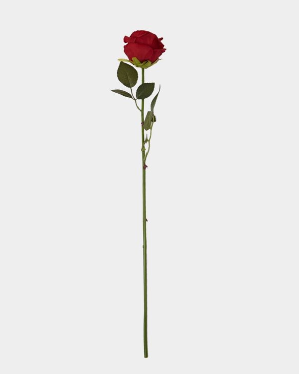 Single Rose Stem