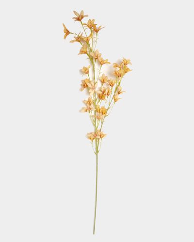 Micro Orchid Stem thumbnail