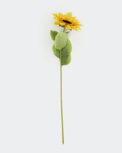 Single Sunflower Stem thumbnail