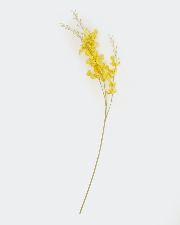 Mini Orchid Stem
