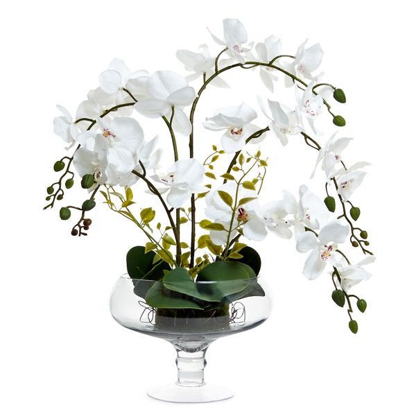 Large Orchid In Stem Vase