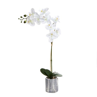 Orchid In Marble Pot thumbnail