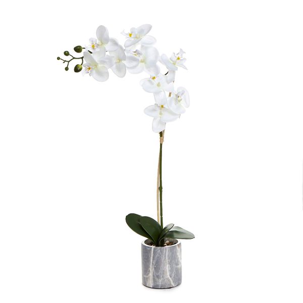 Orchid In Marble Pot