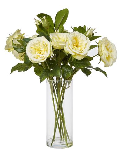 Roses In Tall Glass Vase thumbnail
