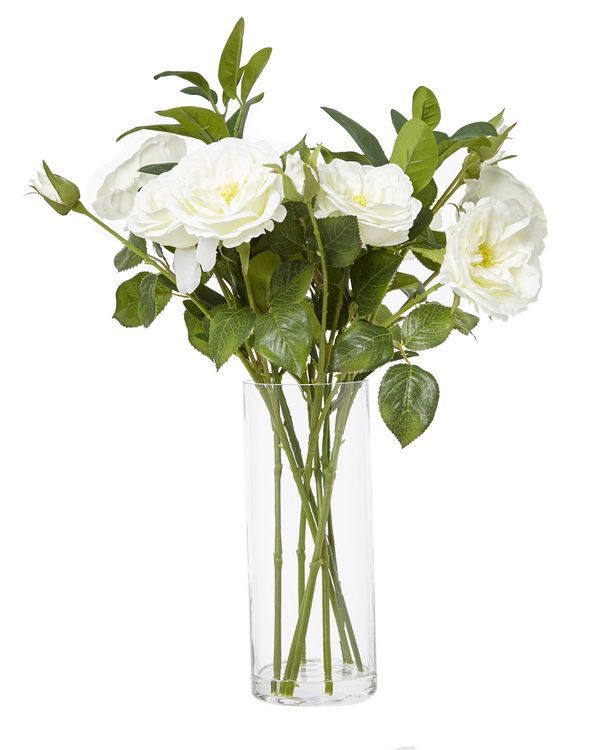 Roses In Tall Glass Vase