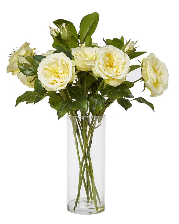 Roses In Tall Glass Vase