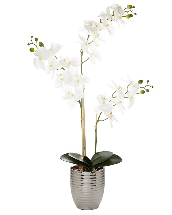 Silver Orchid Pot
