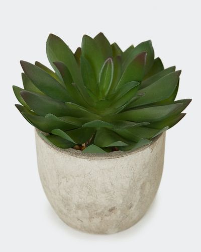 Ruberia Potted Faux Plant