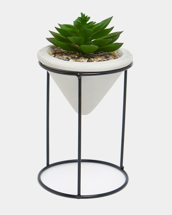 Succulent On Stand