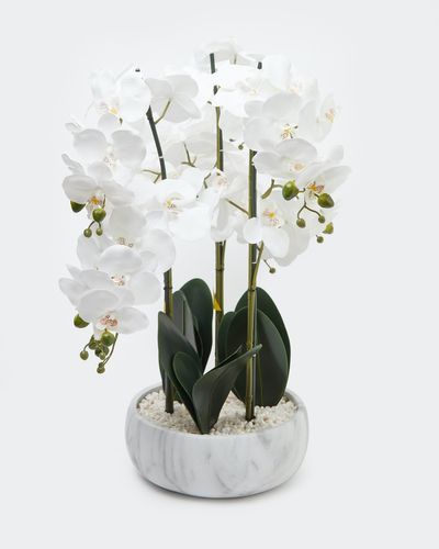 Orchid Marble Pot