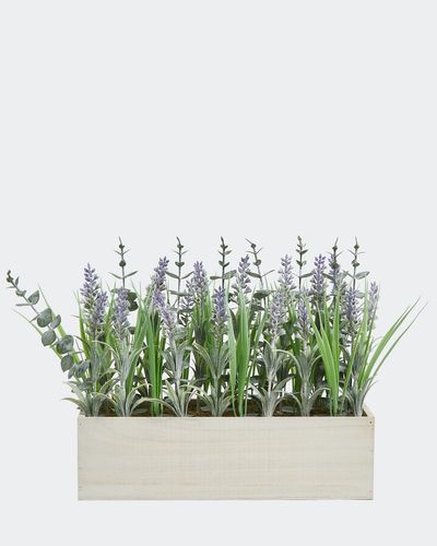Lavender Window Box