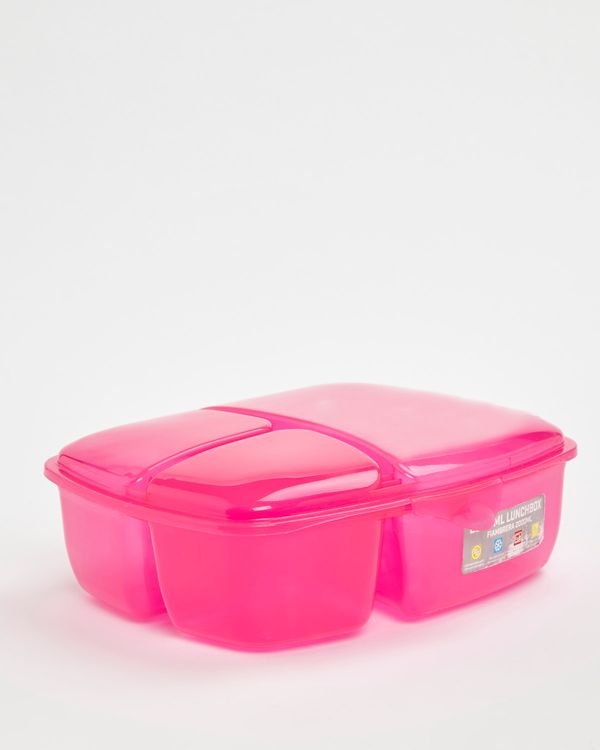 Multi Section Lunch Box