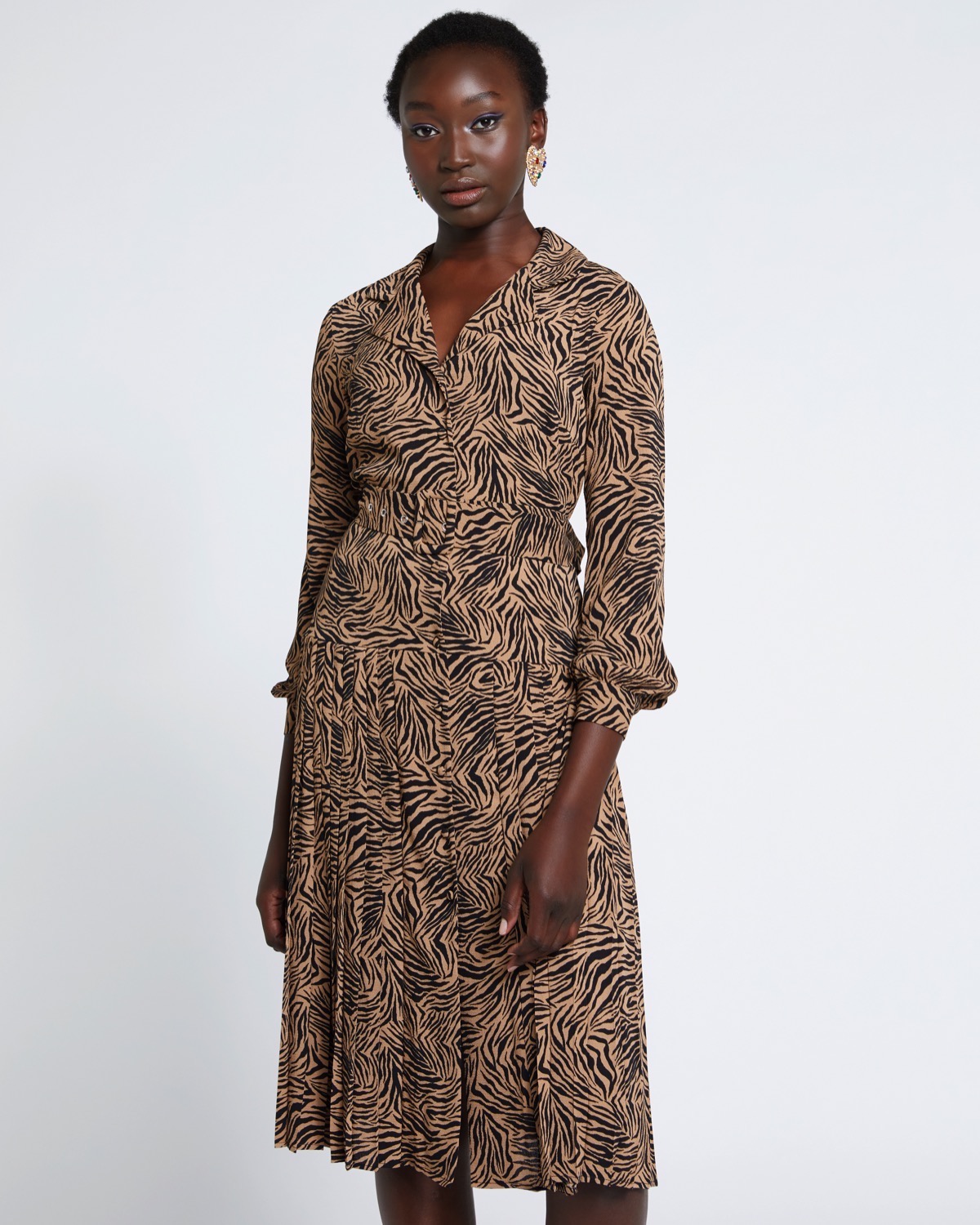 Dunnes Stores | Print Savida Pleat Dress