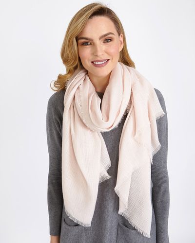 Gallery Textured Solid Scarf thumbnail