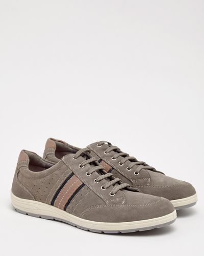 Paul Costelloe Living Grey Suede Trainers thumbnail