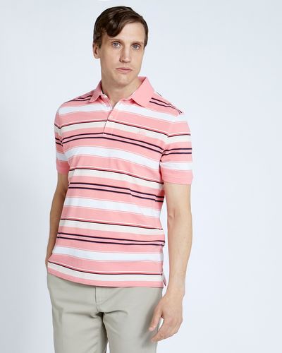 Paul Costelloe Living Pink Grindle Stripe Polo thumbnail