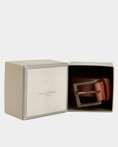 Paul Costelloe Living Casual Leather Brown Belt thumbnail